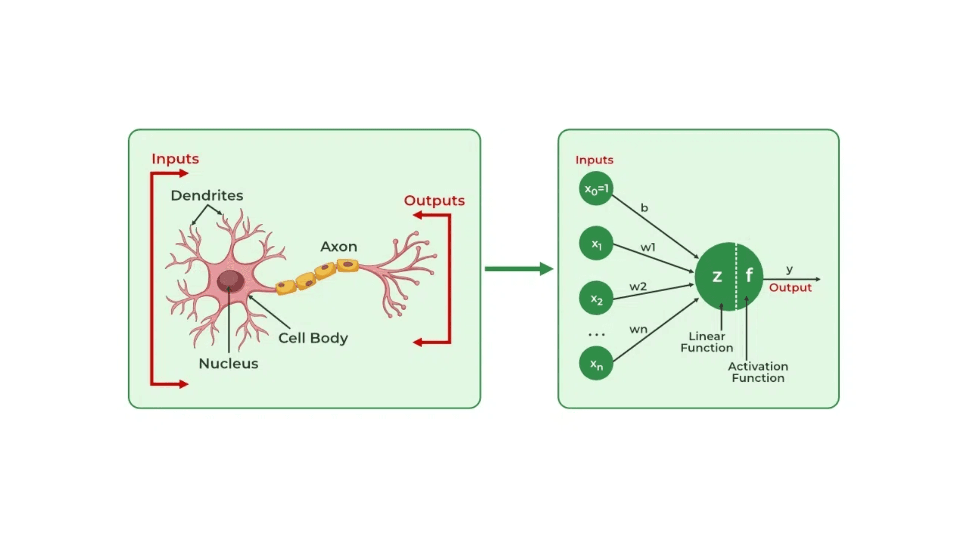 MLP from First Principles
